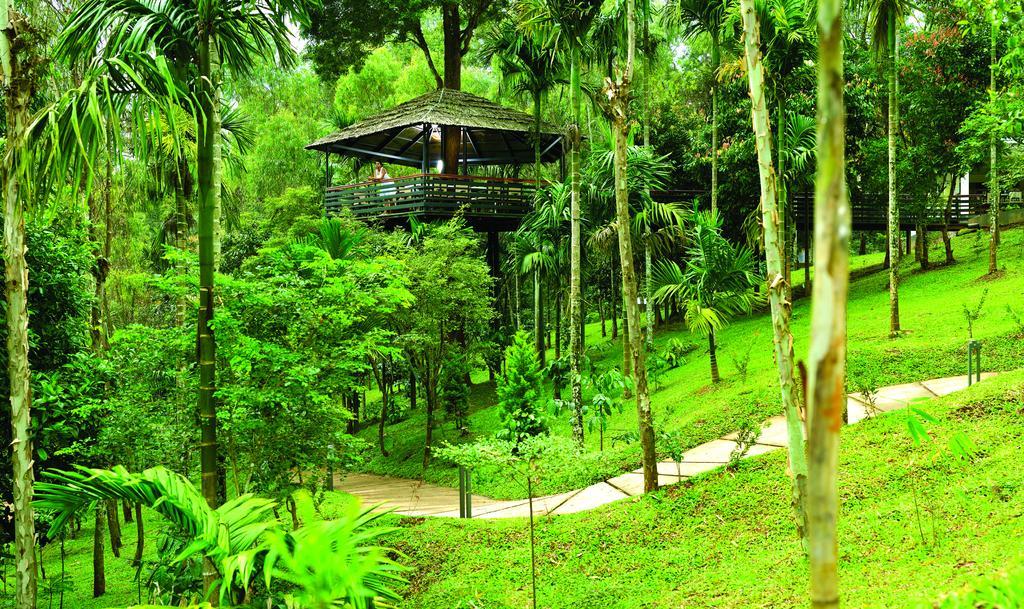 The Woods Resorts Wayanad Sultan Bathery Exterior photo