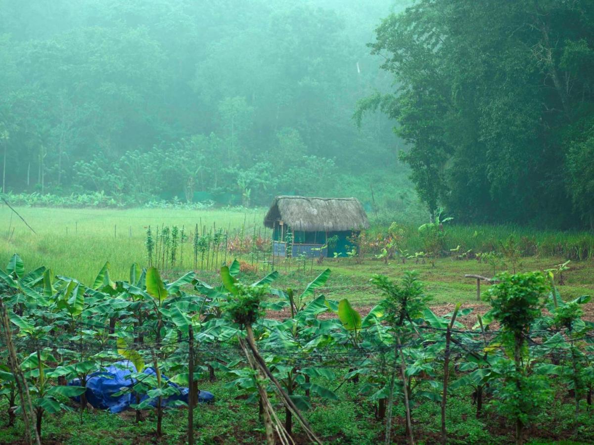 The Woods Resorts Wayanad Sultan Bathery Exterior photo