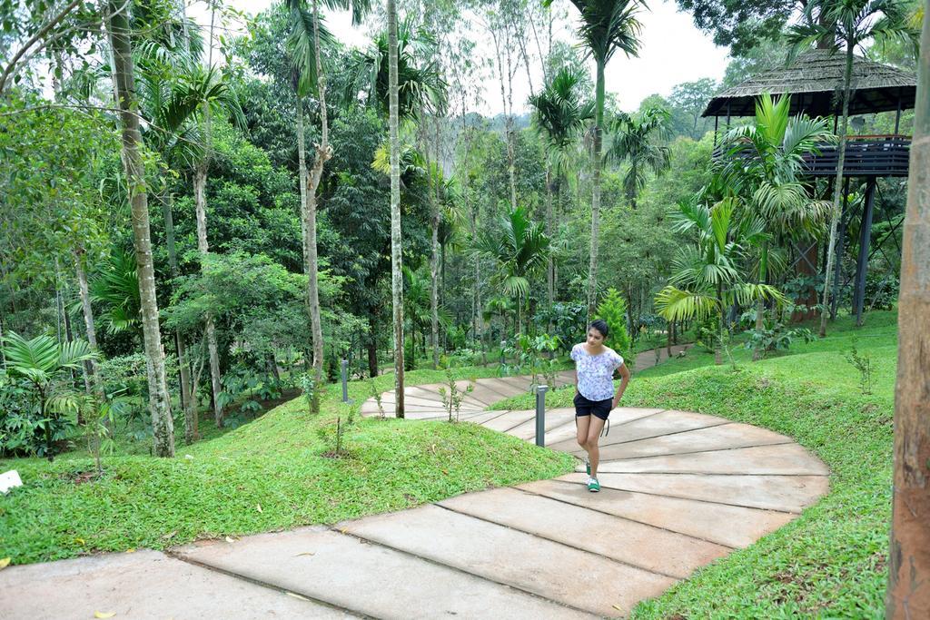 The Woods Resorts Wayanad Sultan Bathery Exterior photo